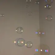 wooの画像