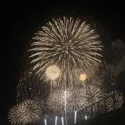 なっちゃんの画像