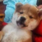 ユフィ(値下げ✕まとめ割り◯)の画像