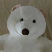 だるまさま