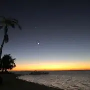 ブラボーの画像
