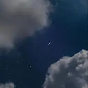 にこの画像