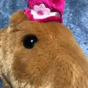 takaの画像