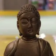 亀様