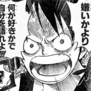 カンタコスの画像