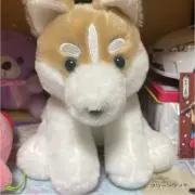 いぬぬの画像