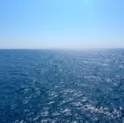 ぎんの画像