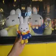 みんの画像