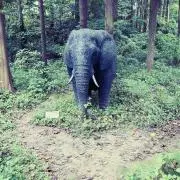 s1の画像