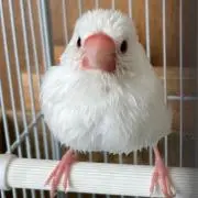 maru＊プロフ一読願いますの画像