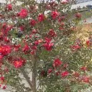 ゆさまま プロフィール必読