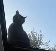 ぽんず