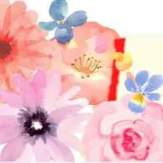 Nanci ナンシー バラ売りOK - メルカリ
