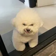 jinyuの画像