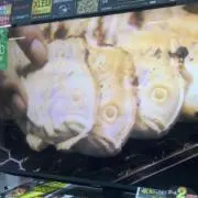 たびの画像