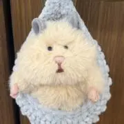 ふゆきの画像