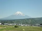 かめちゃんの画像