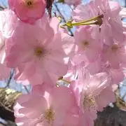 taka⭐︎の画像
