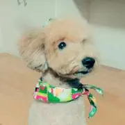 HIROYUKIの画像