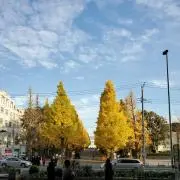 Kiraabuの画像