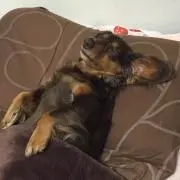 ☆あおば☆