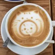 ルルの画像