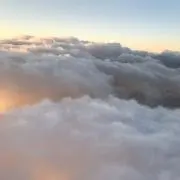 ららの画像