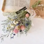 みるくの画像