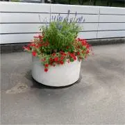 R