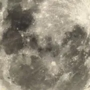 xinの画像