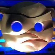 メカモドキの画像