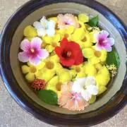 みかん