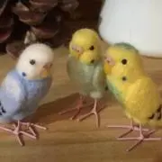インコ