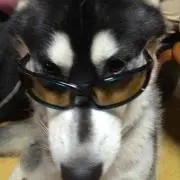 キアラ