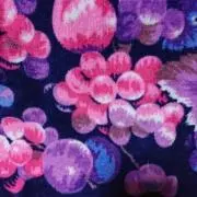 チェリオの画像