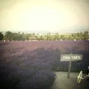 KURIの画像