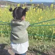 IDEA☆renの画像