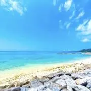 るんの画像