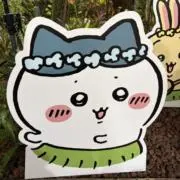 なぎの画像