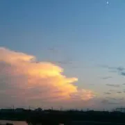 レモン