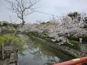 ななつぼしの画像