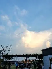 在庫確認必須。突然削除あり。の画像