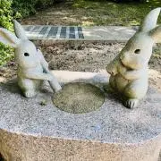 saru*の画像