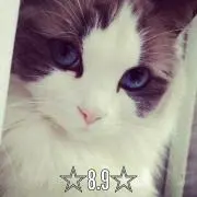 レナ