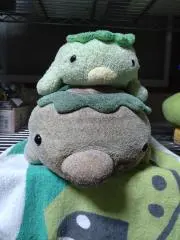 ☆ちゅけ★の画像