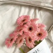 みく❤️フォロー割開催中❤️の画像