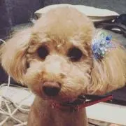 モアナ