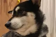 ☆ＭＵＴＡ☆のパパ