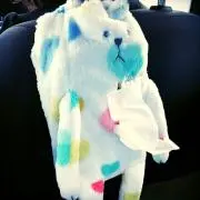 YH