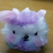chocolateの画像